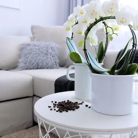 Daire Chilliapartamenty - Blizej Morza - Mocca